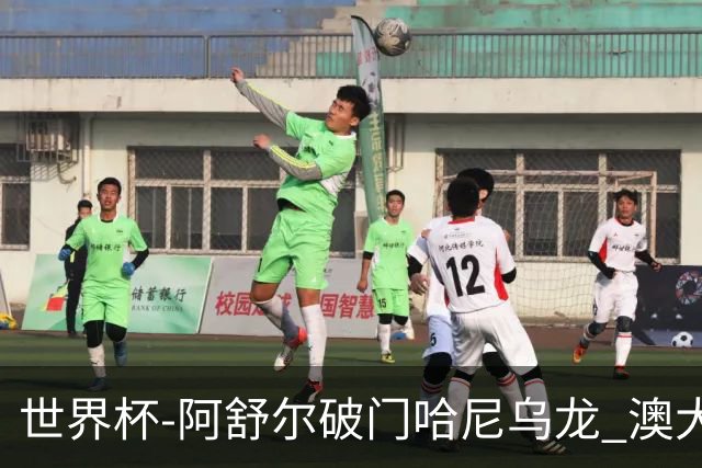 世界杯-阿舒尔破门哈尼乌龙 澳大利亚1-1埃及进点球