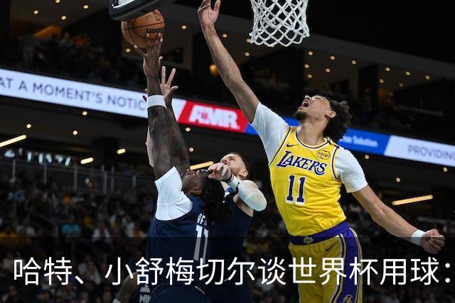 哈特、小舒梅切尔谈世界杯用球：这球肯定有问题，远射太多了