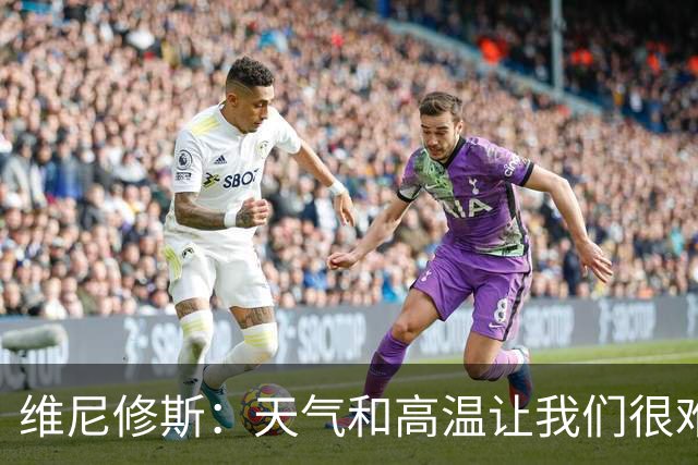 维尼修斯：天气和高温让我们很难保持节奏，但我们必须适应